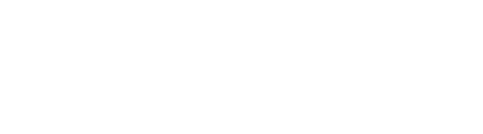 Cybernet